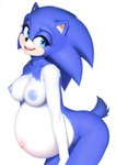 anthro blue_eyes breasts crossgender female looking_at_viewer navel pregnant pregnant_female rule63 simple_background solo sonic_the_hedgehog_(series) standing marcus64 sonic_the_hedgehog eulipotyphlan hedgehog mammal