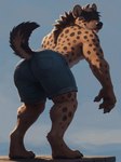 absurd_res anthro bent_over big_butt blep bottomwear butt closed_smile clothing code_0_0 digitigrade hair hair_over_eyes hi_res huge_butt hyaenid looking_back male mammal manly muscular muscular_male presenting presenting_hindquarters rear_view shorts simple_background solo spotted_hyena standing thick_thighs tongue tongue_out