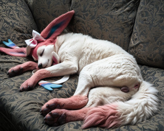 animal_genitalia animal_pussy anus black_nose butt canine_genitalia canine_pussy claws detailed_background digitigrade eyelashes eyes_closed feet female feral fluffy fluffy_tail fur furniture genitals inside lying markings on_side pawpads paws pink_body pink_fur presenting presenting_pussy pussy quadruped ribbons sleeping smile sofa solo tail toe_claws toes tuft white_body white_fur balloon_(director) nintendo pokemon canid canine canis eeveelution generation_6_pokemon mammal pokemon_(species) sylveon 2025 detailed digital_media_(artwork) hi_res