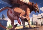 animal_genitalia animal_penis anus balls beak erection feline_penis feral genitals leaking looking_back male one_leg_up open_mouth pawpads penile_spines penis quadruped raised_leg rear_view solo text wings yellow_eyes sergalbutt avian gryphon mythological_avian signature url