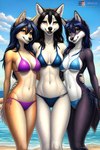 absurd_res anonymous_director anthro beach bikini black_body black_fur canid canine canis clothing female fox fur group hi_res mammal orange_body orange_fur sea seaside swimwear thigh_gap trio water white_body wolf