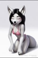 anthro blue_eyes breasts clothing dark_hair female fur shy solo swimsuit_bikini white_body white_fur foxytaill arctic_fox canid canine canis fox mammal animated hi_res webm