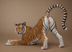 animal_genitalia animal_pussy anus feline_pussy female feral genitals pussy solo uauaua111222 felid mammal pantherine tiger absurd_res hi_res