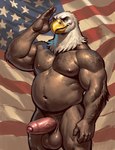 accipitrid accipitriform anthro avian bald_eagle balls beak big_balls bird bodily_fluids body_hair chest_hair claws conchiglie dripping eagle eyebrows foreskin genital_fluids genitals gesture happy_trail humanoid_genitalia humanoid_penis looking_at_viewer male musclegut muscular muscular_male navel nipples overweight penis precum precum_drip salute sea_eagle smile solo standing stars_and_stripes united_states_of_america vein veiny_penis yellow_beak yellow_eyes