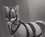 bdsm bridle ears_up female feral grey_body grey_hair hair harness harness_only looking_at_viewer mane molkeunkemoxl_(model) monotone_body petplay ponyplay prompt quadruped roleplay simple_background solo solo_focus straps mechanic_31 my_little_pony earth_pony equid equine horse mammal pony greyscale hi_res monochrome