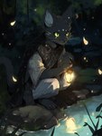 anthro black_body black_fur bottomwear clothed clothing crouching fur green_eyes lamp lantern male night outside plant rock solo topwear water whiskers sappy_(director) felid feline mammal absurd_res hi_res