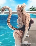 anthro big_butt black_clothing black_swimwear breasts butt clothing female medium_breasts one-piece_swimsuit pool solo swimwear thick_thighs water_drops wide_hips silver675790 animated webm