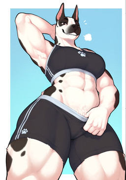 5_fingers abs anthro armpit_hair athletic athletic_anthro athletic_female biceps biped black_body black_clothing black_fur black_nose blue_background body_hair border bottomwear bra breasts breath clothed clothing confident female fingers fur grin gym_bottomwear gym_clothing gym_shorts hand_behind_head holding_clothing holding_object holding_underwear looking_at_viewer looking_down looking_down_at_viewer low-angle_view markings midriff multicolored_body multicolored_fur muscular muscular_anthro muscular_female muscular_thighs navel obliques pose pubes shorts simple_background smile solo sports_bra spots spotted_body spotted_fur standing teeth thick_thighs tight_bottomwear tight_clothing topwear tuft two_tone_body two_tone_fur underwear white_body white_border white_fur wiinter canid canine canis domestic_dog mammal mastiff molosser absurd_res hi_res portrait shaded three-quarter_portrait