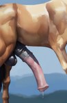 absurd_res anatomically_correct anatomically_correct_genitalia anatomically_correct_penis animal_genitalia animal_penis balls big_penis black_balls black_hair black_tail bodily_fluids brown_body brown_fur dripping equid equine equine_genitalia equine_penis erection feral flared_penis fur genital_fluids genitals glistening glistening_balls glistening_genitalia glistening_penis gradient_penis hair hi_res horse leaking_precum male mammal medial_ring muscular outdoors outside penis pink_penis precum precum_drip shuffur side_view simple_background solo