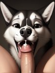 absurd_res bestiality black_body black_fur black_nose bodily_fluids canid canine canis cum cum_drip cum_in_mouth cum_inside cum_on_face domestic_dog dripping duo fellatio female feral first_person_view fur genital_fluids genitals grey_eyes happy hi_res human human_on_feral humanoid_genitalia humanoid_penis husky inner_ear_fluff interspecies looking_at_viewer male male/female male_on_feral mammal messy multicolored_body multicolored_fur nordic_sled_dog open_mouth open_smile oral penile penis sex shuffur simple_background smile spitz teeth tongue tuft two_tone_body two_tone_fur white_body white_fur