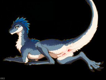 anus black_background blue_body blue_feathers claws feathers female feral genitals long_tail looking_at_viewer pussy raised_tail simple_background solo tan_body tan_feathers yellow_eyes krickracsac dinosaur dromaeosaurid feathered_dinosaur reptile scalie theropod director_name hi_res