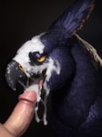 absurd_res ambiguous_gender avian beak beak_fetish beak_play beak_sex beakjob bedroom_eyes bestiality bird black_beak bodily_fluids cum cum_covered cum_drip cum_in_mouth cum_inside cum_on_face cum_on_head cum_on_penis cum_on_tongue cum_string detailed drinking drinking_cum dripping duo excessive_cum excessive_genital_fluids feathers feral genital_fluids genitals gryphon half-closed_eyes happy hi_res human human_on_feral humanoid_genitalia humanoid_penis interspecies male male/ambiguous mammal messy mythological_avian narrowed_eyes open_mouth open_smile oral penis realistic seductive sex shuffur simple_background smile tongue yellow_eyes