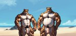 absurd_res anthro beach body_hair duo felid foreskin genitals hi_res humanoid_genitalia humanoid_penis jaguar looking_at_viewer male male/male mammal musclegut muscular pantherine penis seaside simplyai