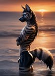 aardwolf anthro beach blue_eyes bulge butt fur hair hi_res hyaenid long_hair male mammal seaside solo sunset water wet wet_body wet_fur wet_hair