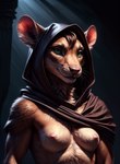 breasts clothed clothing female green_eyes hood looking_at_viewer nipples pink_nipples solo standing topless marcus64 mammal murid murine rat rodent hi_res