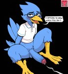 anthro balls beak bedroom_eyes bird_feet black_background blue_body blush bodily_fluids clothing cum dialogue ejaculation eyewear genital_fluids genitals glasses humanoid_genitalia humanoid_penis long_penis looking_at_viewer male narrowed_eyes nerd open_mouth penis polo_shirt seductive shirt simple_background sitting solo spread_legs spreading text thick_thighs topwear yellow_beak av-10 deltarune undertale_(series) berdly avian bird hi_res