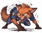 all_fours angry anthro bared_teeth bodily_fluids brown_body brown_fur claws clothed clothing feet feral fur green_eyes male open_mouth orange_body orange_fur police police_uniform simple_background solo tears teeth tongue torn_clothing uniform white_background zootopia alucard_(director) nick_wilde canid canine fox mammal red_fox hi_res