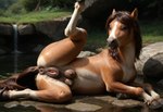 animal_genitalia animal_pussy bed black_pussy breasts brown_body equine_pussy female feral furniture genitals hooves legs_up looking_at_viewer looking_pleasured lying lying_on_side pussy river solo mare_fan_ultimate equid equine mammal hi_res