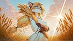 anthro blonde_hair blue_eyes clothing female field fur hair light looking_away solo standing sunlight wheat wheat_field white_clothing anotherneko domestic_cat felid feline felis mammal hi_res