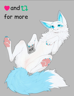 anechka female feral solo myrlonel canid canine fox mammal absurd_res hi_res