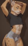 anthro biped bottomwear brown_hair clothed clothing crop_top crossdressing femboy fur green_eyes grey_body grey_ears grey_fur grey_tail hair hotpants inner_ear_fluff looking_at_viewer male midriff multicolored_body multicolored_ears multicolored_fur multicolored_tail pink_inner_ear pink_nose pole shirt shorts skimpy solo stripper_pole tail topwear tuft white_body white_ears white_fur white_tail yellow_body yellow_ears yellow_fur yellow_tail markrhey felid feline mammal hi_res