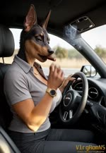 anthro big_breasts breasts car cigar cleavage clock clothed clothing curvaceous curvy_figure driving eyes_closed female inside_car music music_video polo_shirt shirt smoking smoking_cigar solo topwear vehicle voluptuous watch vlrgromns canid canine canis dobermann domestic_dog mammal pinscher animated sound webm