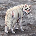 1:1 anus arctic_wolf blue_eyes canid canine canis colored detailed detailed_background female feral fur genitals hi_res lungfish1223 mammal presenting pussy solo tongue tongue_out white_body white_fur wolf