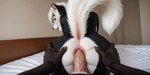 anal anal_penetration anthro bent_over butt butt_grab duo female genitals hand_on_butt humanoid_genitalia looking_back male male/female on_all_fours penetration penis raised_tail vein veiny_penis furryranch lori_(jmh) mammal mephitid skunk hi_res