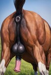 animal_genitalia animal_penis anus anus_focus balls big_butt black_anus black_balls brown_body butt butt_focus close-up equine_anus equine_genitalia equine_penis feral genitals implied_oral male multicolored_penis penis presenting presenting_anus presenting_hindquarters raised_tail realism realistic realistic_feral rear_view solo potato_salad equid equine horse mammal hi_res