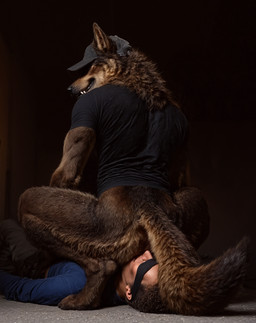 anthro blindfold brown_body brown_fur butt clothed clothing crouching detailed_fur digitigrade dominant dominant_anthro duo facesitting fur hat headgear headwear human_on_anthro interspecies looking_back low-angle_view lying_on_back lying_on_ground male male/male muscular muscular_anthro muscular_male neck_tuft obscured_eyes partially_clothed photorealism realistic realistic_fur realistic_lighting rear_view shirt simple_background smile sniffing tail teeth thick_thighs topwear tuft delken canid canine canis human mammal wolf detailed hi_res