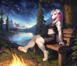 anthro campfire canid canine clothing female fur hair hi_res landscape mammal melina_(traialas) outside pawpads paws pink_hair seductive sitting sitting_on_bench smile solo traialas white_body