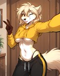 5_fingers anthro blep bottomwear breasts clothed clothing female fingers fur gesture hair hoodie inside looking_at_viewer midriff navel one_eye_closed pants selfie smile solo sweatpants thong_straps tongue tongue_out topwear under_boob underwear v_sign white_body wink anontk twokinds clovis_(twokinds) canid canine canis mammal hi_res shaded