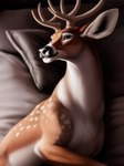 absurd_res antlers bed bed_sheet bedding bedroom_eyes black_nose blurred_background brown_body brown_fur cervid cervine feral fur furniture hi_res high-angle_view horn inner_ear_fluff looking_at_viewer lying lying_on_bed male mammal multicolored_body multicolored_fur narrowed_eyes on_bed pillow seductive shuffur smile solo spots spotted_body spotted_fur tuft two_tone_body two_tone_fur white_body white_fur