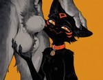 animal_genitalia anthro areola ball_fondling ball_tuft balls big_balls black_body black_fur black_sheath breasts chest_tuft claws collar collar_only crotch_tuft duo faceless_character faceless_male facial_markings female finger_claws fondling fully_sheathed fur genitals grey_balls grey_body grey_fur hand_on_balls hand_on_head head_markings holding_balls inner_ear_fluff larger_male looking_at_viewer male male/female markings multicolored_body nipples nude nude_female nude_male orange_background orange_eyes presenting_balls pubes sheath simple_background size_difference small_breasts smaller_anthro smaller_female smile tuft worship anotheranon cookie_(anotheranon) canid canine canis furred_kobold kobold mammal wolf absurd_res hi_res