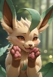 blush bodily_fluids drooling female feral fur pawpads prefect_pony_xl saliva solo humgeogre nintendo pokemon eeveelution generation_4_pokemon leafeon pokemon_(species) hi_res