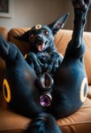 anal anal_penetration animal_genitalia animal_pussy black_body black_fur butt_plug buttplug buttplug_in_ass buttplug_insertion canine_genitalia canine_pussy female feral fur furniture genitals inside looking_at_viewer lying on_back on_sofa pawpads penetration plug_(sex_toy) plug_insertion pokemon pussy red_eyes sex_toy sex_toy_in_ass sex_toy_insertion sofa solo tongue tongue_out chrizzly canid canine eeveelution generation_2_pokemon mammal pokemon_(species) umbreon hi_res