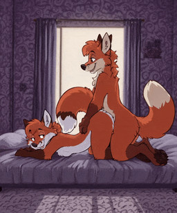 anthro anthro_penetrated bed bedroom_eyes breasts butt duo expressive female female_penetrated fluffy fluffy_tail from_behind_position fur furniture genitals hair happy hidden_genitalia looking_pleasured male male/female male_penetrating male_penetrating_female narrowed_eyes nude orange_body orange_fur paws penetration penis pussy seductive sex side_view smile tail toony vaginal vaginal_penetration 77zack canid canine canis fox mammal animated