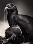 absurd_res after_sex ambiguous_gender avian bedroom_eyes bird black_body bodily_fluids corvid corvus_(genus) crow cum cum_covered cum_drip cum_in_mouth cum_inside cum_on_body cum_on_chest cum_on_face cum_on_feet cum_on_ground cum_on_leg cum_on_tongue cum_pool dripping excessive_cum excessive_genital_fluids feral genital_fluids gradient_background grey_background hi_res lying male messy narrowed_eyes on_side open_mouth open_smile oral oscine passerine seductive shuffur simple_background smile solo tongue tongue_out