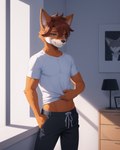 anthro apartment athletic bedroom_eyes canid canine clothed clothing clothing_lift detailed_background fox fur genny hair male mammal midriff narrowed_eyes naughty_face orange_body orange_fur red_hair seductive sequence shirt shirt_lift smile solo topwear window