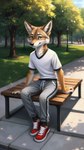 anthro clothed clothing detailed_background male park smile solo sunny foxboy canid canine canis coyote mammal absurd_res hi_res