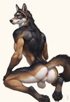 anthro anus athletic athletic_male backsack balls butt genitals looking_at_viewer looking_back looking_back_at_viewer male nude pawpads paws rear_view solo vein whiskers avaru canid canine canis mammal wolf hi_res