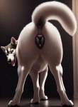 absurd_res animal_genitalia animal_pussy anus black_anus black_body black_fur black_nose black_pussy blurred_background butt canid canine canine_genitalia canine_pussy canis domestic_dog female feral fur genitals happy hi_res husky inner_ear_fluff inside looking_at_viewer looking_back looking_back_at_viewer mammal nordic_sled_dog open_mouth open_smile presenting presenting_anus presenting_hindquarters presenting_pussy pussy raised_tail shuffur simple_background smile solo spitz tongue tongue_out tuft white_body white_fur