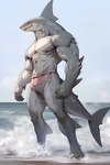 2023 abs anthro biceps big_tail bottomwear brown_loincloth clothed clothing countershade_arms countershade_face countershade_legs countershade_tail countershade_thighs countershade_torso countershading dorsal_fin fin fist grey_body grey_scales grey_spikes humanoid_hands loincloth loincloth_only long_tail male muscular muscular_anthro muscular_male navel pecs scales sea seaside side_view sky snout solo spikes spikes_(anatomy) text topless topless_anthro topless_male water wave white_body white_scales white_sky chrisd19 fish marine shark full-length_portrait hi_res portrait url watermark