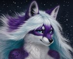 ambiguous_gender anthro bangs black_background blue_eyes blue_hair detailed_hair hair hair_between_eyes long_hair looking_at_viewer purple_hair realistic simple_background snow snowing solo white_hair wind 7oxytron canid canine fox mammal bust_portrait portrait