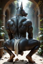 anthro anus armlet back_muscles backsack balls beckoning bedroom_eyes biceps black_balls black_body black_nose black_penis black_perineum black_skin bodily_fluids bottomwear bracelet clothing crouching egyptian egyptian_clothing egyptian_mythology flashing furniture genital_fluids genitals gesture humanoid_genitalia humanoid_penis jewelry leaning leaning_forward loincloth looking_at_viewer male muscular muscular_anthro muscular_male narrowed_eyes penis perineum pink_eyes precum rear_view seductive solo sweat sweaty_body teasing vlrgromns anubis canid canine canis deity jackal mammal animated webm