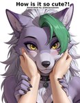 anthro blush collar duo female first_person_view hand_on_cheek happy looking_at_viewer simple_background smile solo_focus spiked_collar spikes white_background aforpurposes five_nights_at_freddy's five_nights_at_freddy's:_security_breach roxanne_wolf_(fnaf) canid canine canis mammal wolf distracting_watermark hi_res watermark