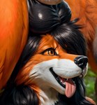 77zack animal_genitalia anthro balls balls_on_face canid canine female fox fur genitals hi_res mammal penis solo tongue tongue_out