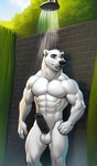 anthro black_penis erection fur genitals hi_res male mammal muscular muscular_male outdoors penis polar_bear shower solo ursid ursine white_body white_fur yopfox