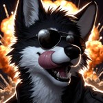 anthro black_body black_fur clothing explosion eyewear eyewear_on_head fur jacket licking licking_lips male open_mouth solo sunglasses sunglasses_on_head tongue tongue_out topwear white_body white_fur peachesonpizza canid canine mammal absurd_res hi_res