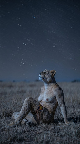 anthro breasts female grass night nipples nude outside photorealism plant realistic_fur sitting_on_ground solo tasteful_nudity tribalcat felid lion mammal pantherine hi_res